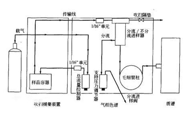 吹掃捕集自動進樣器和進樣口可調(diào)壓的氣相色譜基本結構